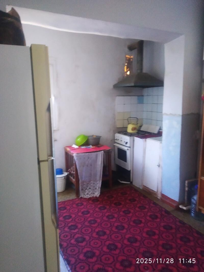 Satlyk jay - Mary - img 4