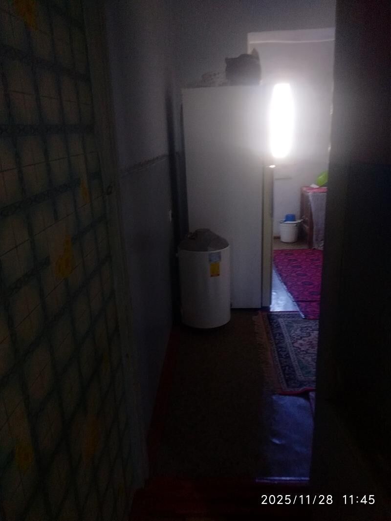 Satlyk jay - Mary - img 5