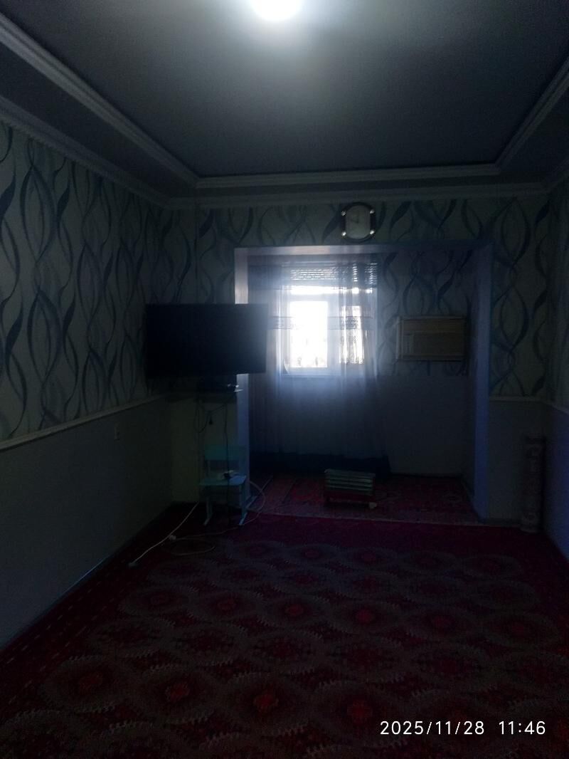 Satlyk jay - Mary - img 7