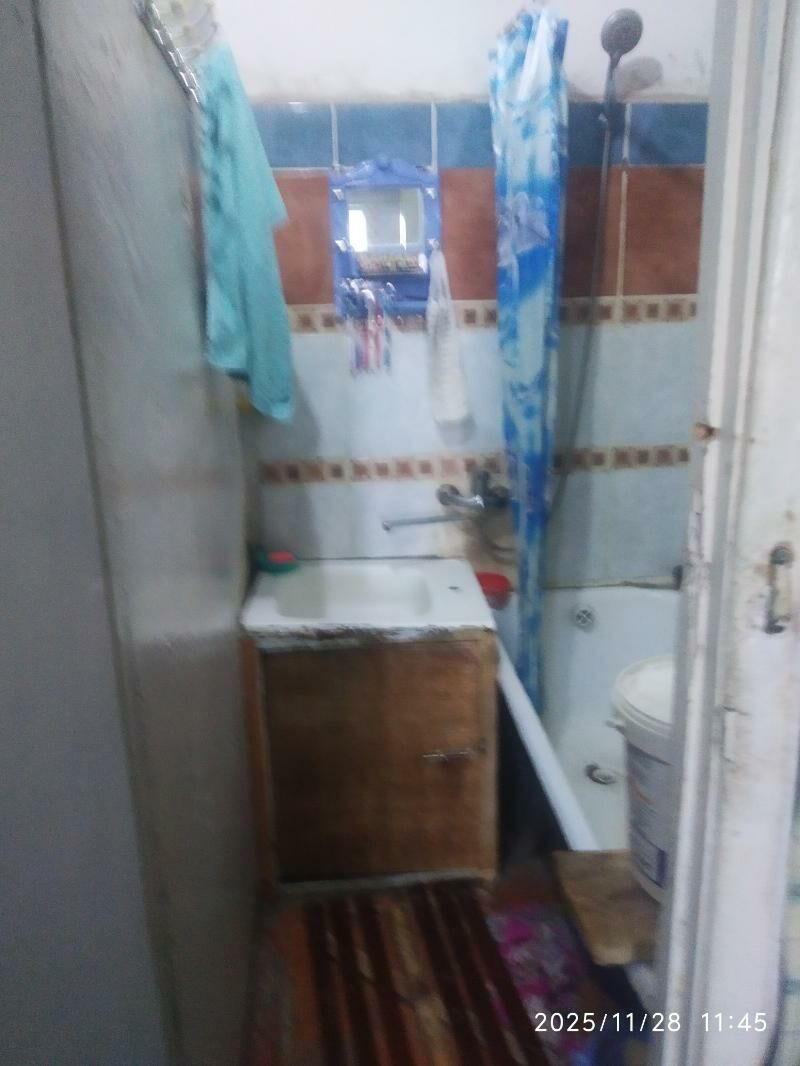 Satlyk jay - Mary - img 3