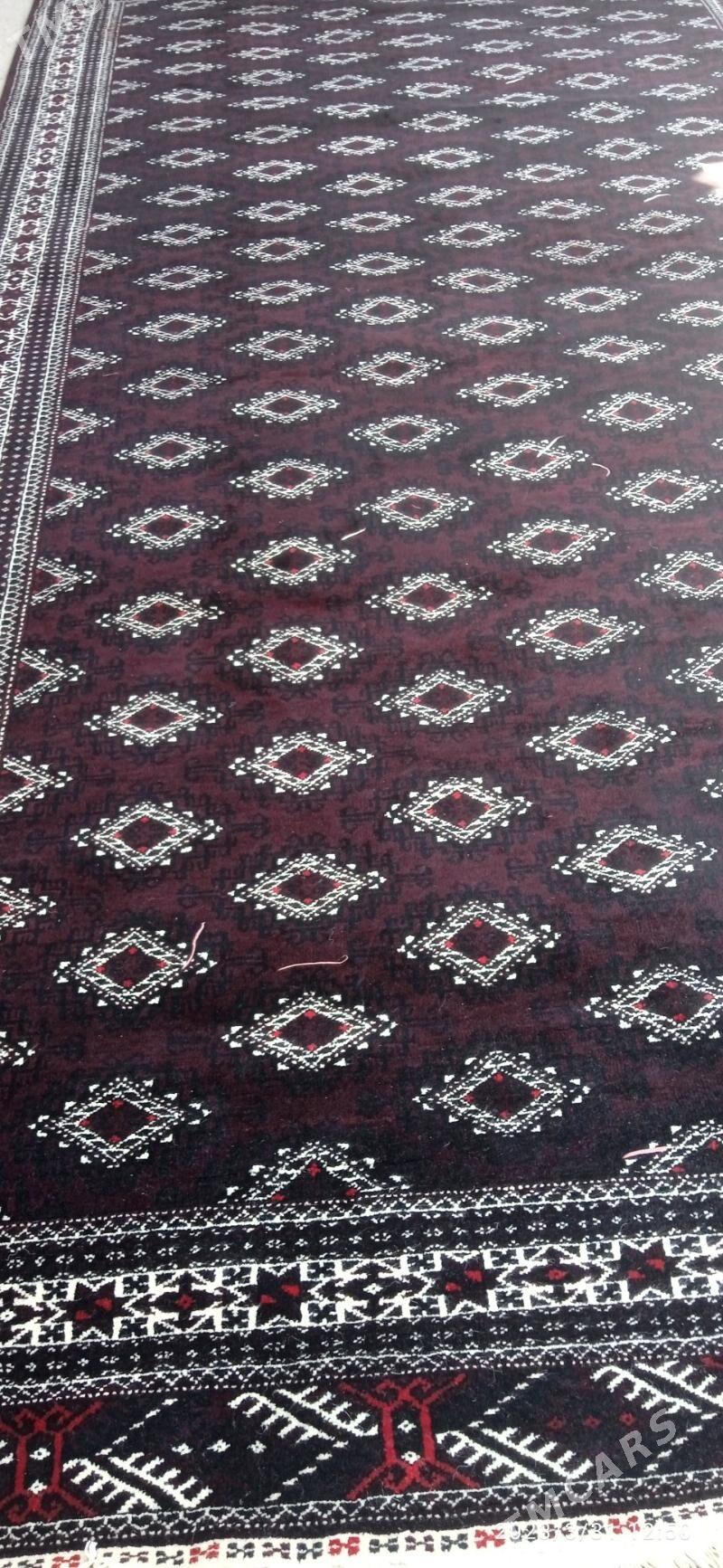 gapylyk gökje gölli - Гумдаг - img 4