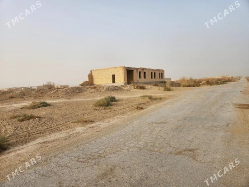 mellek - Türkmenabat - img 3