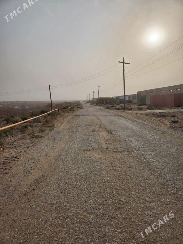 mellek - Türkmenabat - img 4