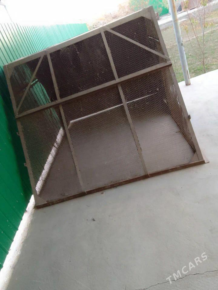 Towuk ketek - Сакарчага - img 2