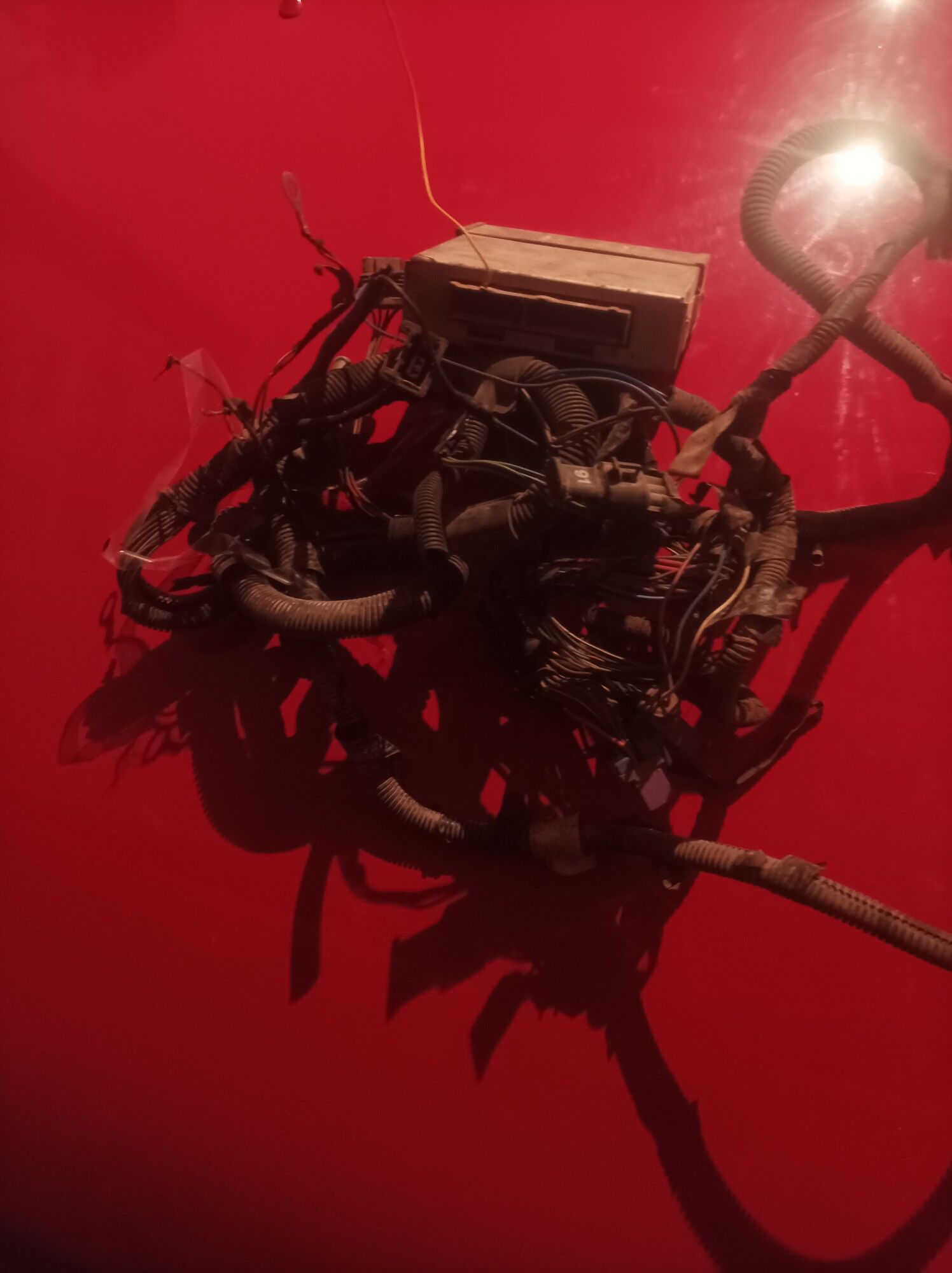 kampiyuter 600 TMT - Şabat etr. - img 4