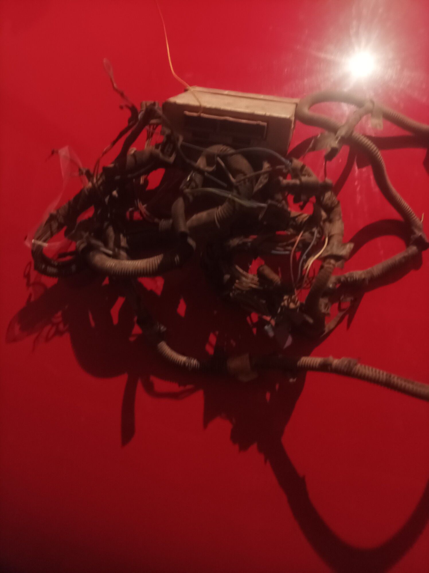 kampiyuter 600 TMT - Şabat etr. - img 3