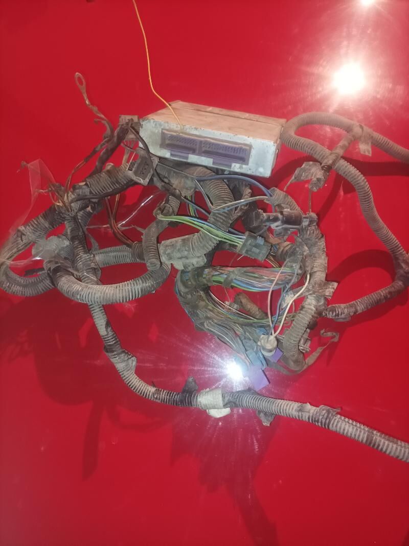 kampiyuter 600 TMT - Şabat etr. - img 2