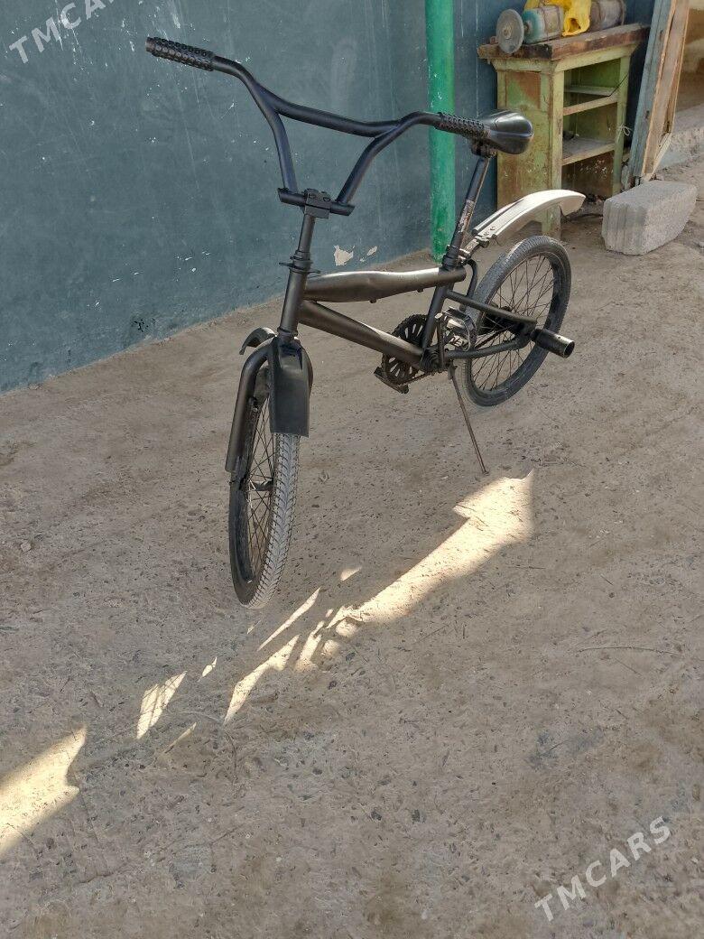 Tigir - Büzmeýin - img 3