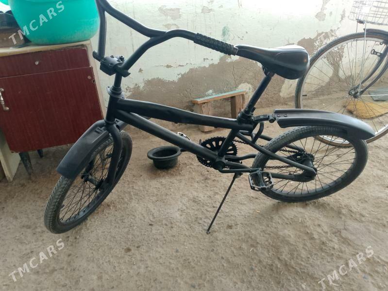 Tigir - Büzmeýin - img 2