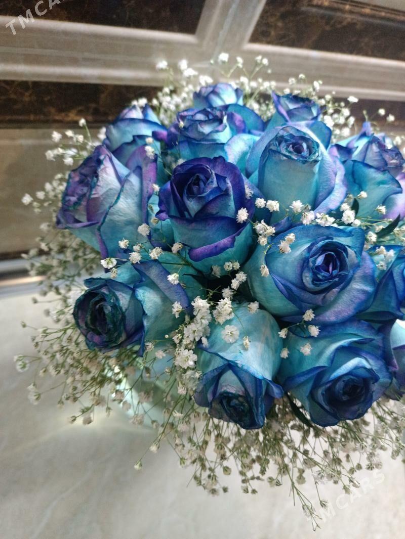 Gül - Aşgabat - img 3