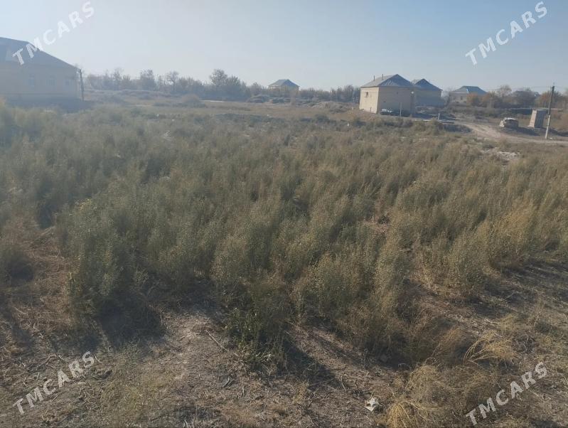 Satlyk Mellek 8 Sotuk - Sakarçäge - img 5