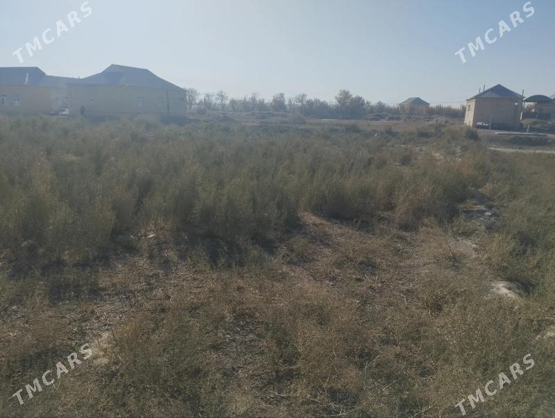 Satlyk Mellek 8 Sotuk - Sakarçäge - img 6