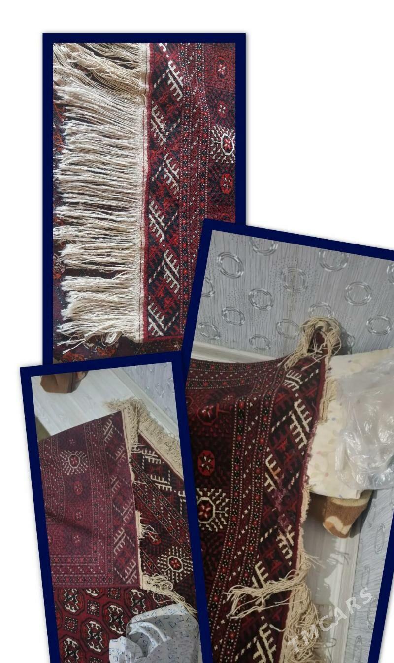 haly - Gumdag - img 1