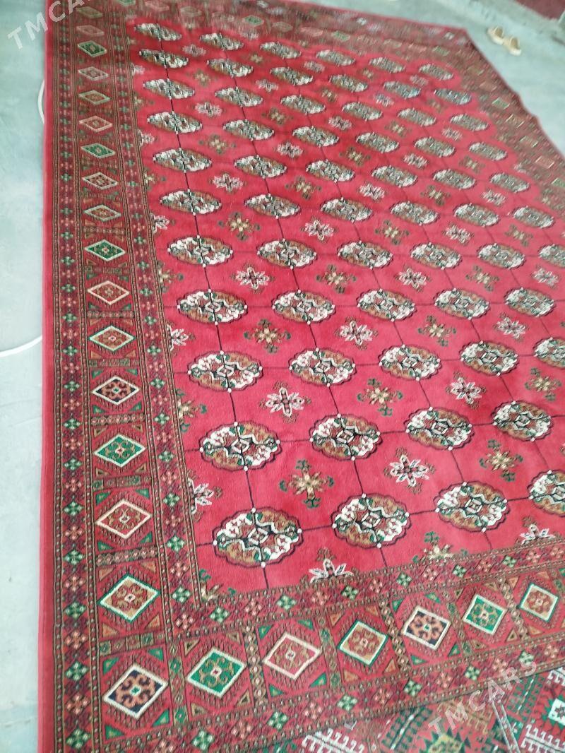 халы - Мургап - img 3