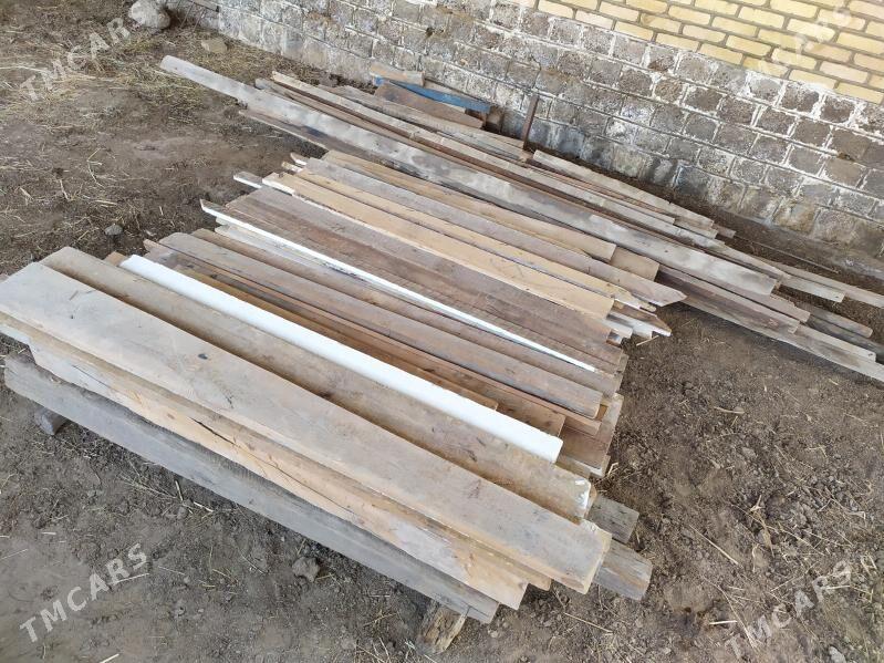 Agaç - Mary - img 2