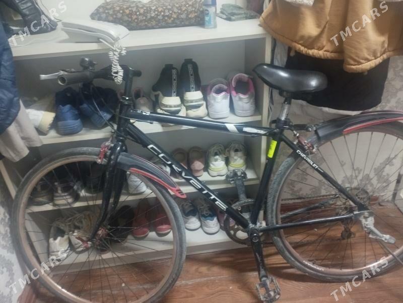 спартианый - Türkmenabat - img 1