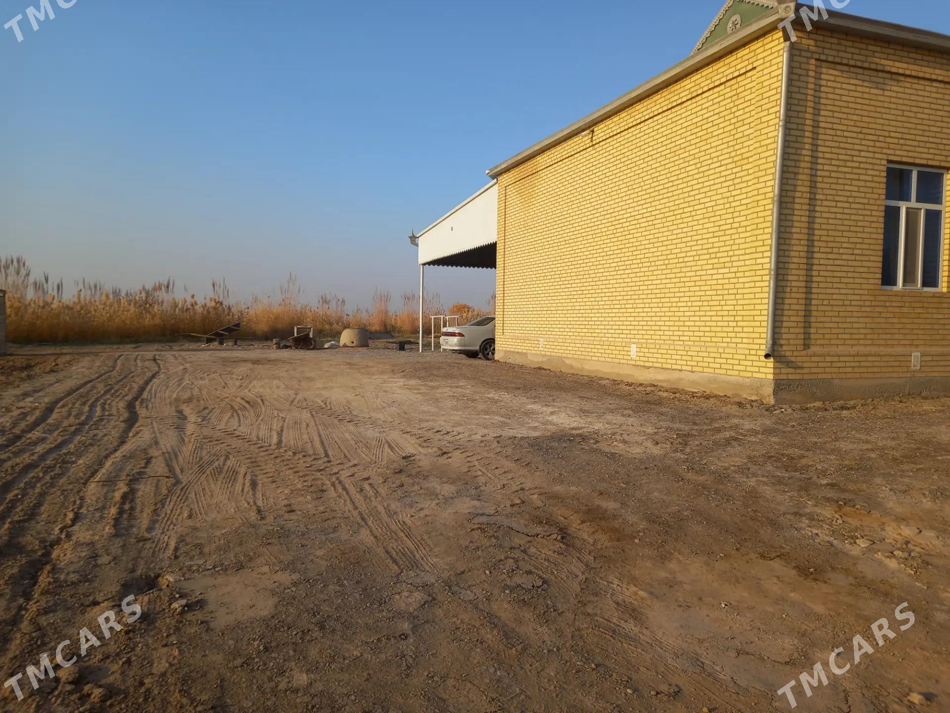 Mary welaÿat Mary etrap - Мары - img 2