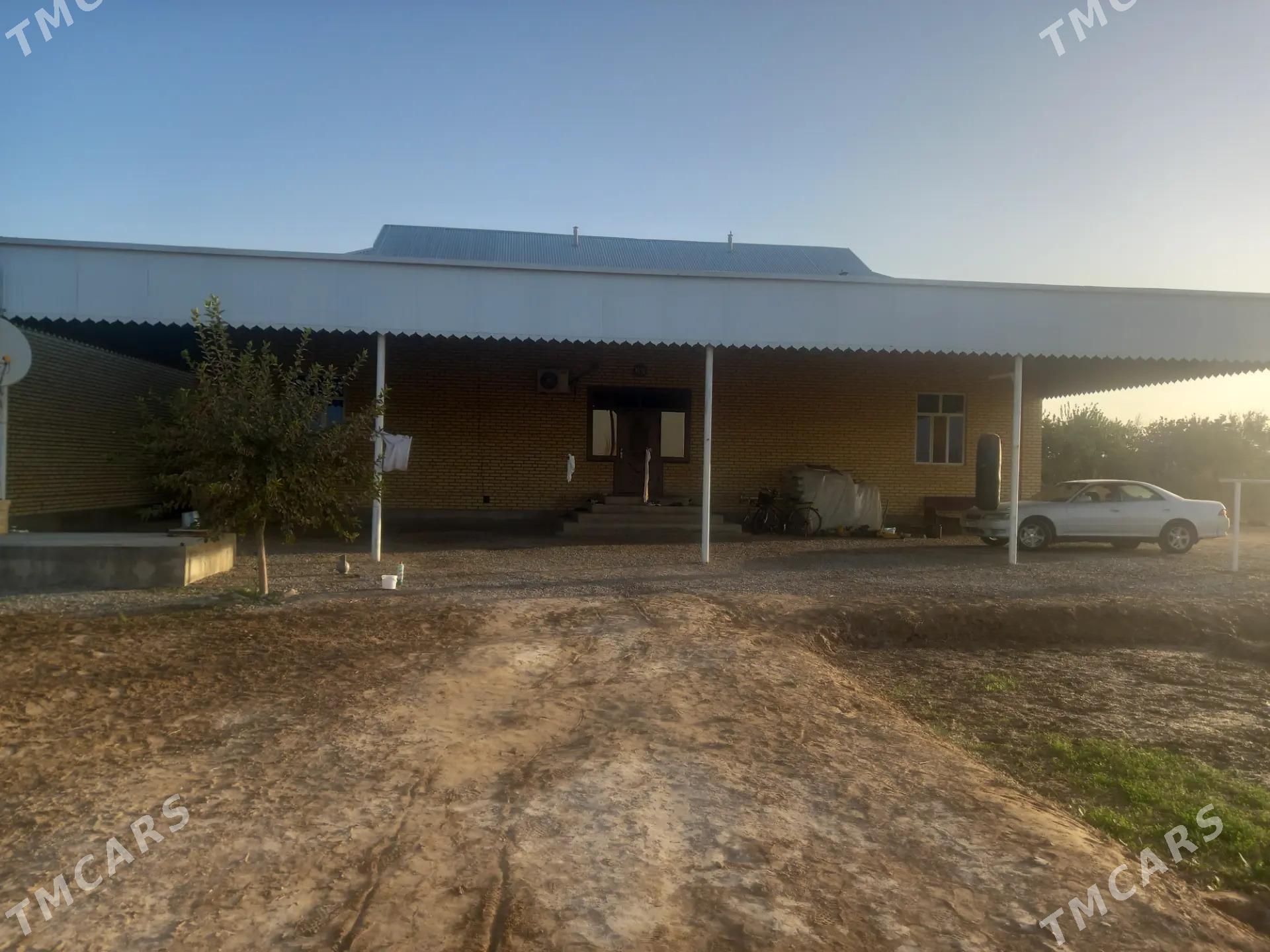 Mary welaÿat Mary etrap - Мары - img 7