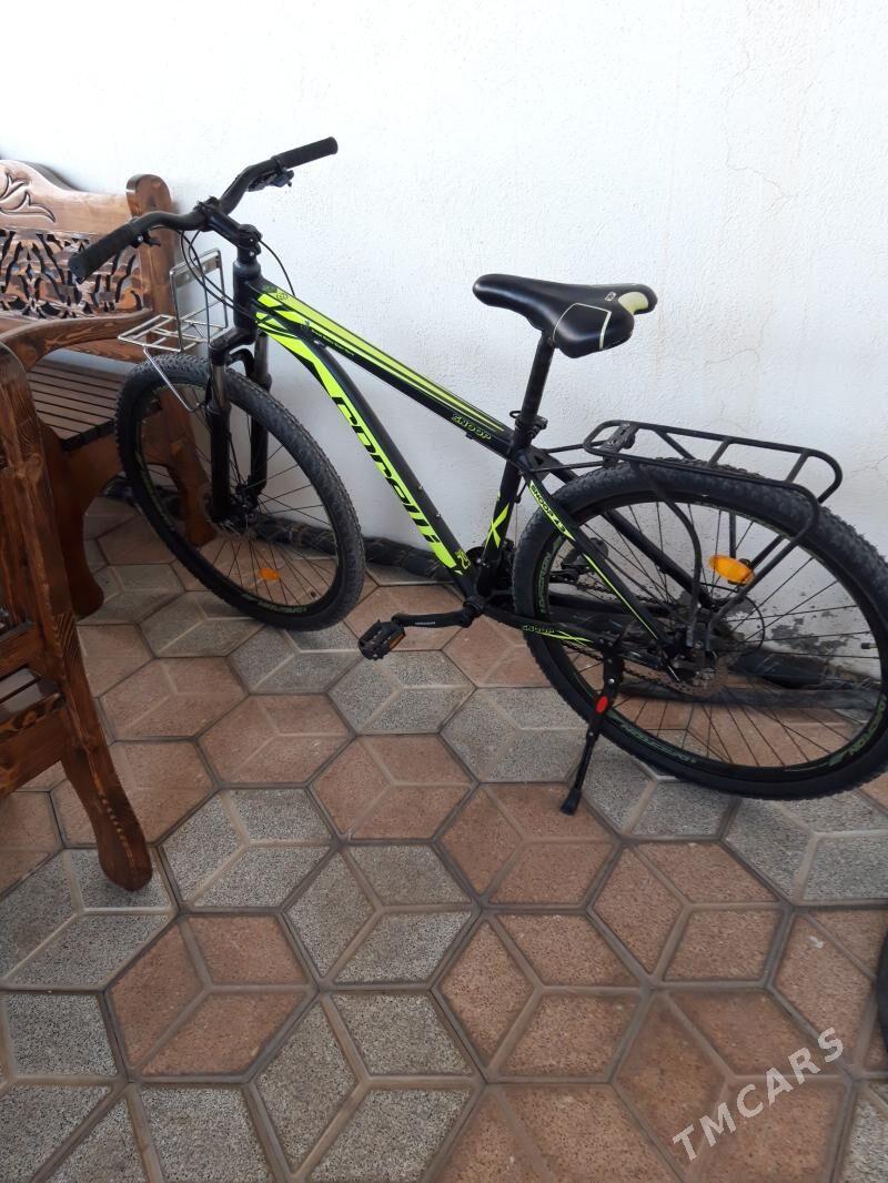 29 lik alyumin rama - Mary - img 7