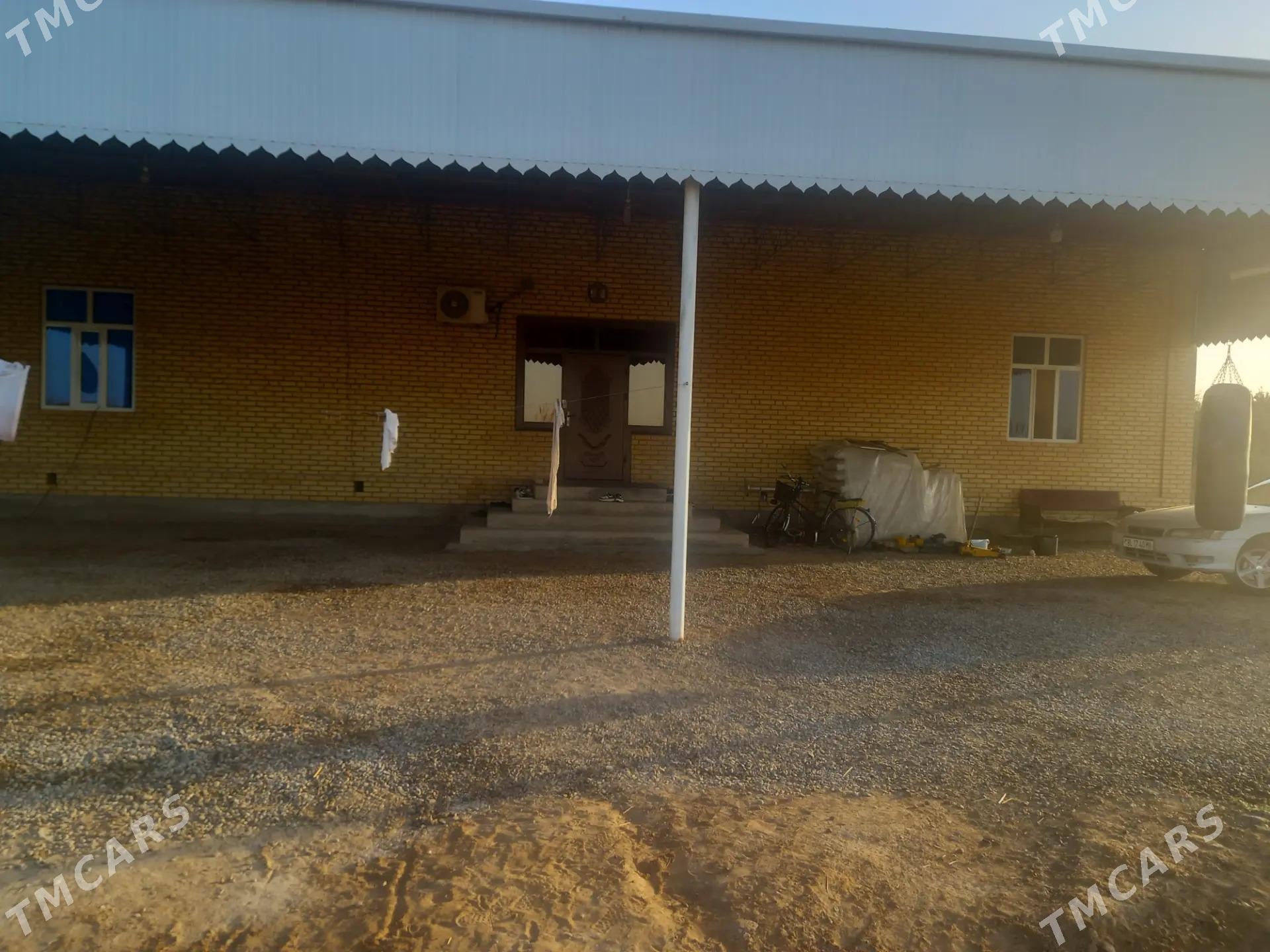 Mary welaÿat Mary etrap - Мары - img 5