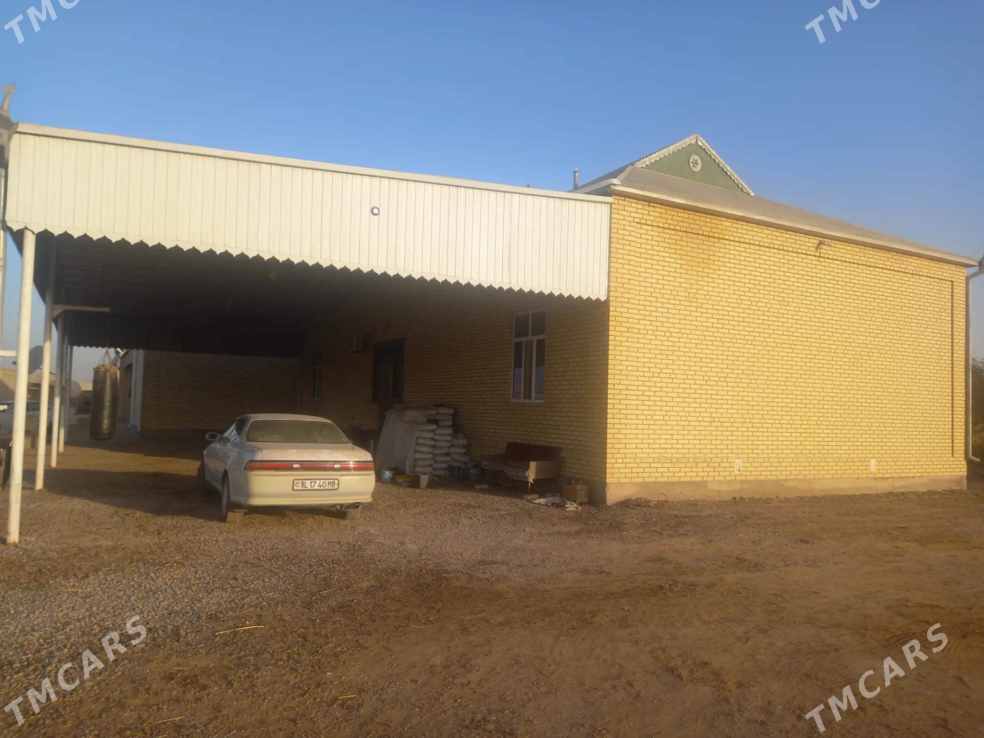 Mary welaÿat Mary etrap - Мары - img 4