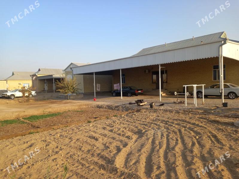 Mary welaÿat Mary etrap - Мары - img 8