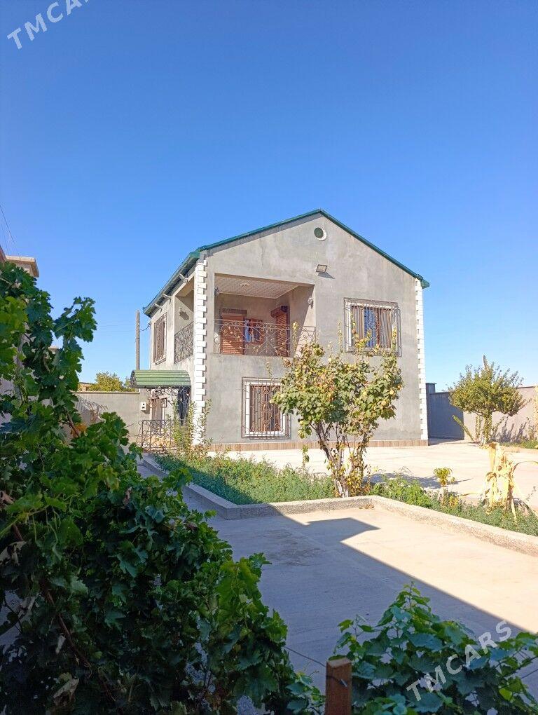 Satlyk DACA - Туркменабат - img 2