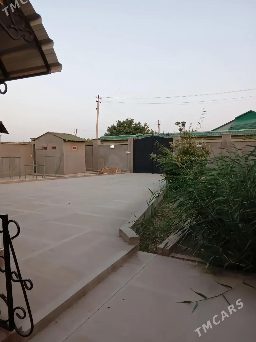 Satlyk DACA - Туркменабат - img 4