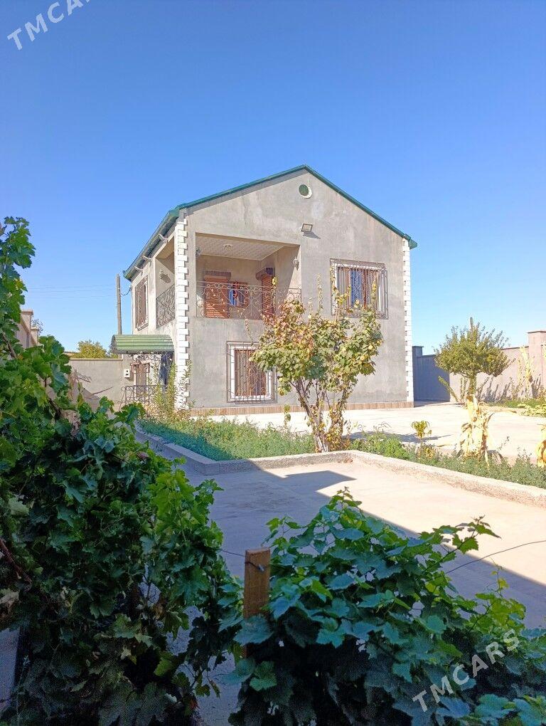 Satlyk DACA - Туркменабат - img 1