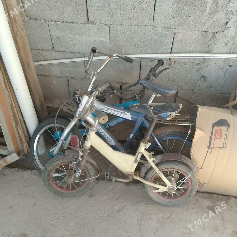 tigir welsiped - Bekrewe - img 2