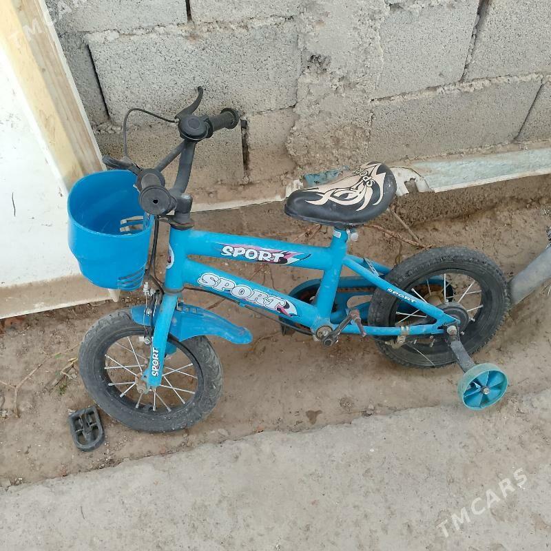 tigir welsiped - Bekrewe - img 3