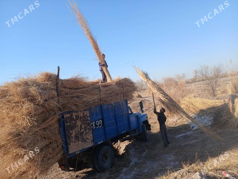 hyssa - Дашогуз - img 3