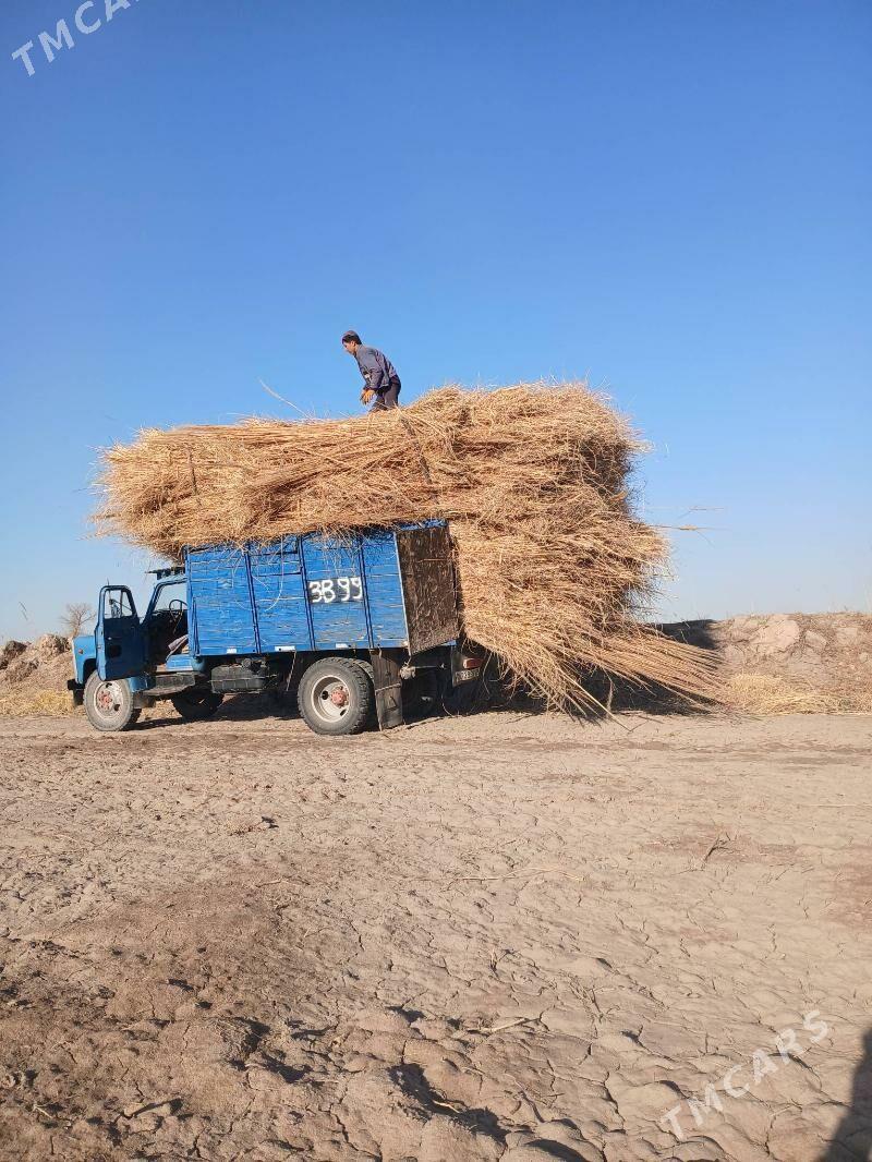 hyssa - Дашогуз - img 2