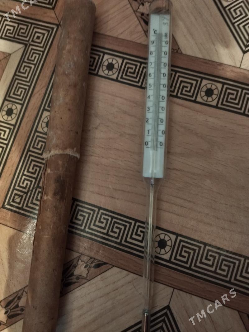 гоадусник - Mary - img 2