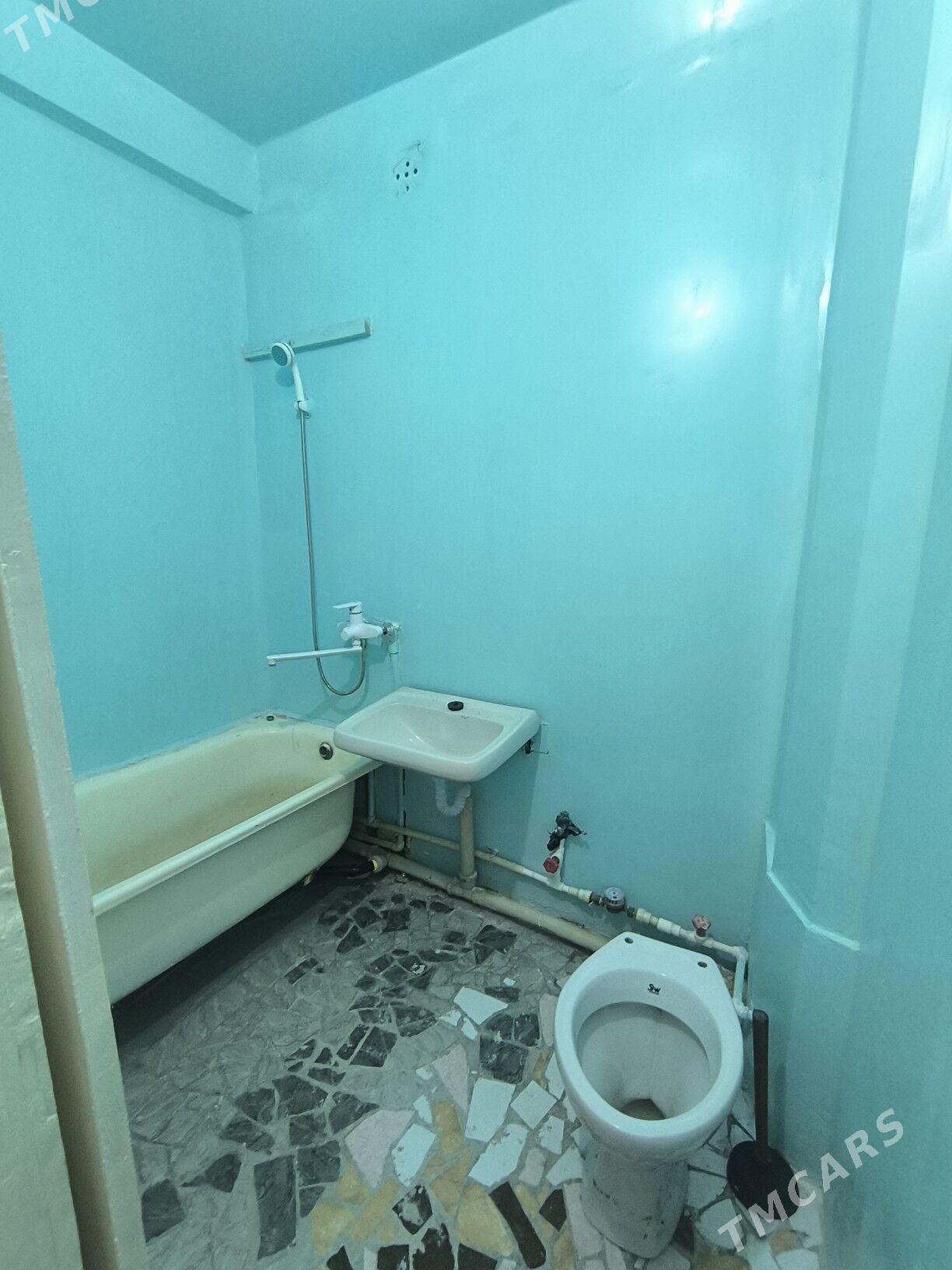 satlyk jay - Мары - img 6