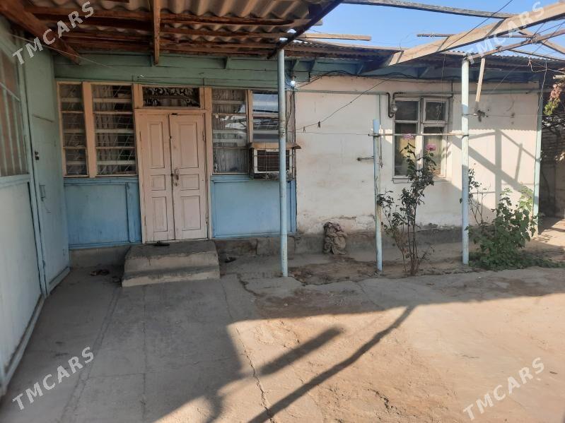 Mary arenda jaý - Mary - img 4