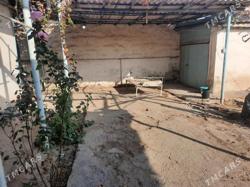 Mary arenda jaý - Mary - img 3