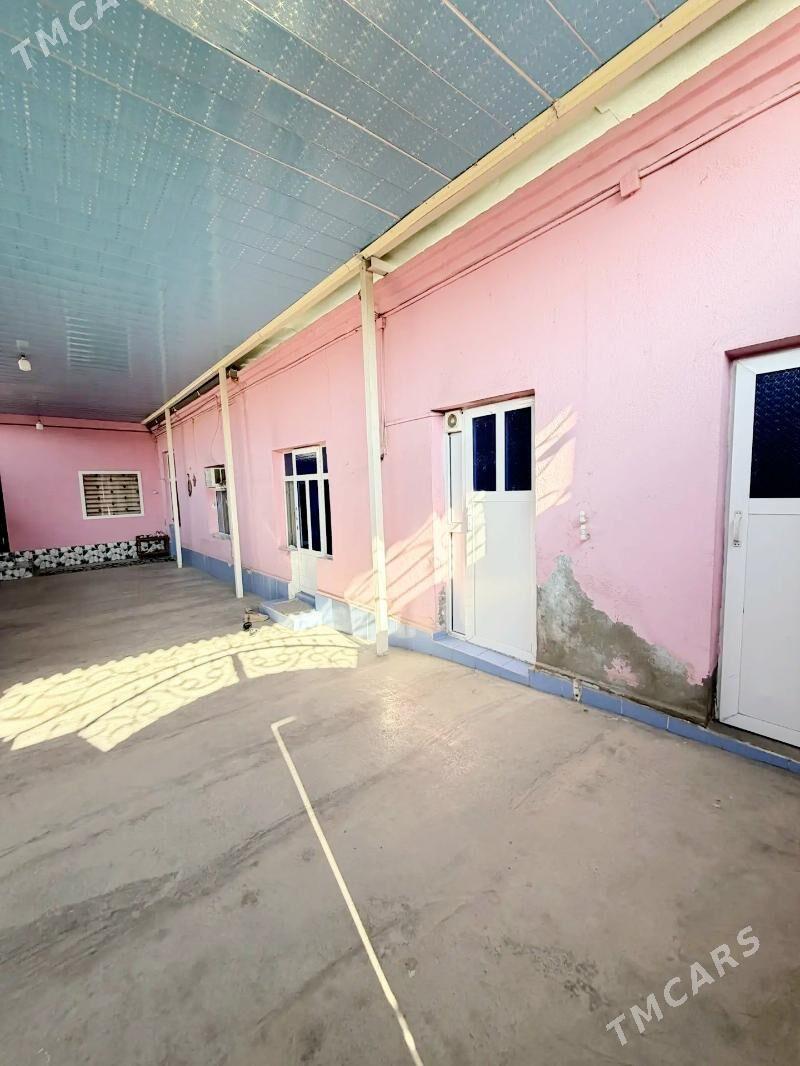 mes howly - Mary - img 4