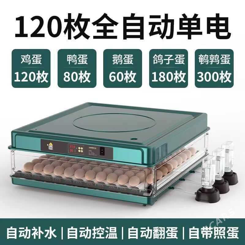 inkubator - Ашхабад - img 4