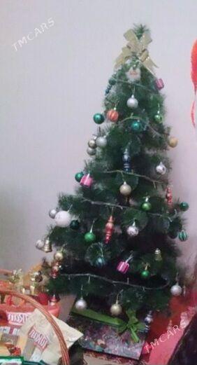 yolka arca - Mary - img 3