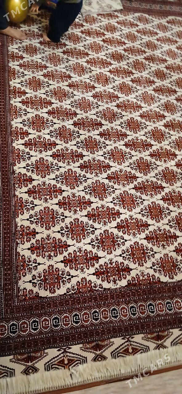 haly - Aşgabat - img 2