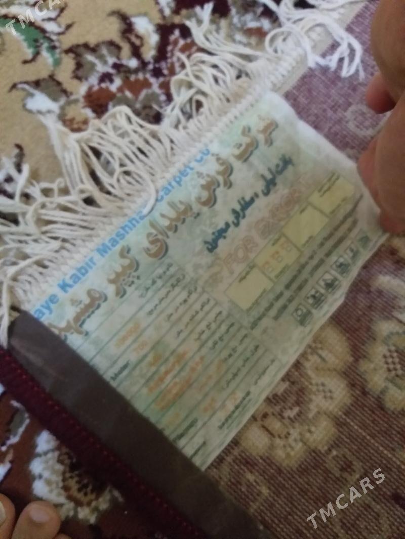 eyran haly 3.4 - 9 mkr - img 2