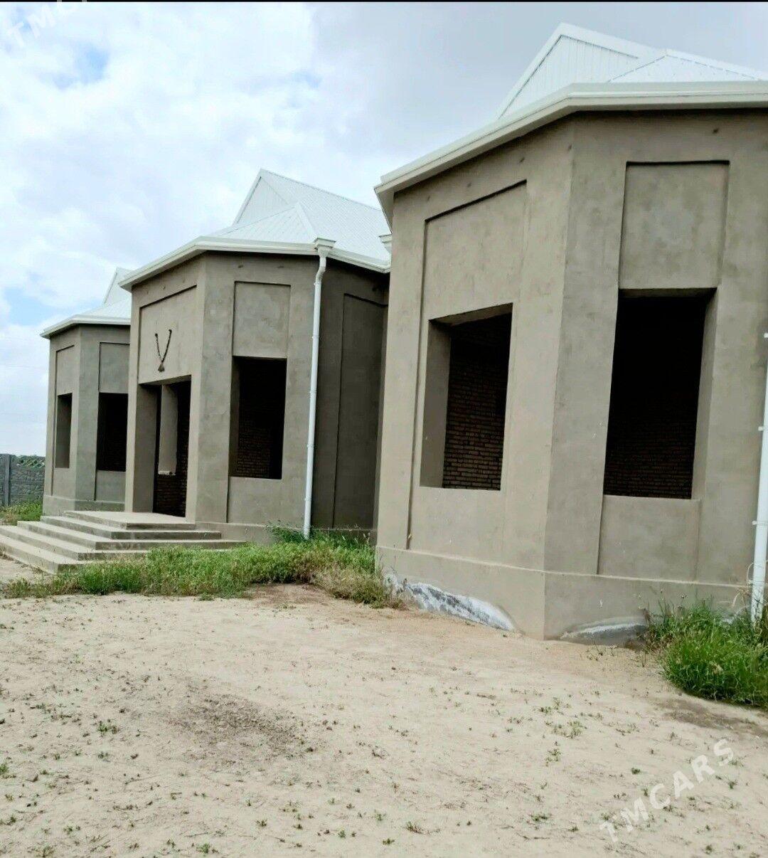 satlyk howly - Мары - img 1