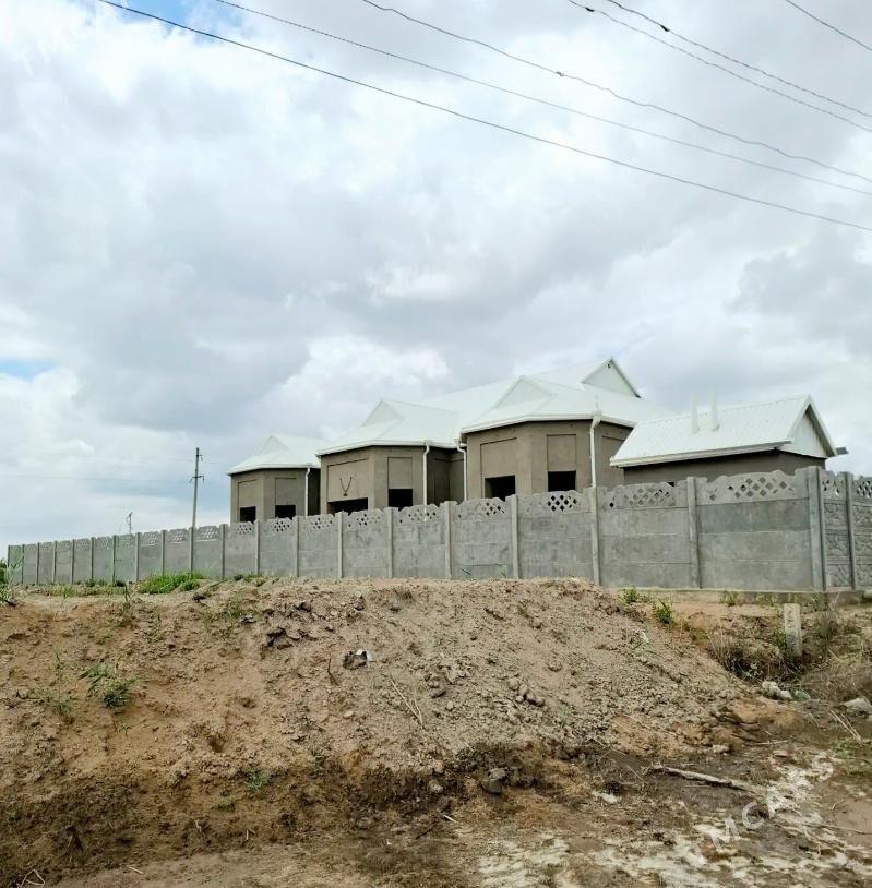 satlyk howly - Мары - img 3