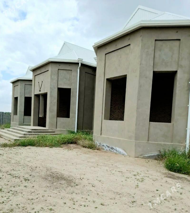 satlyk howly - Мары - img 2