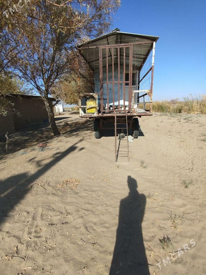 wagon - Änew - img 4