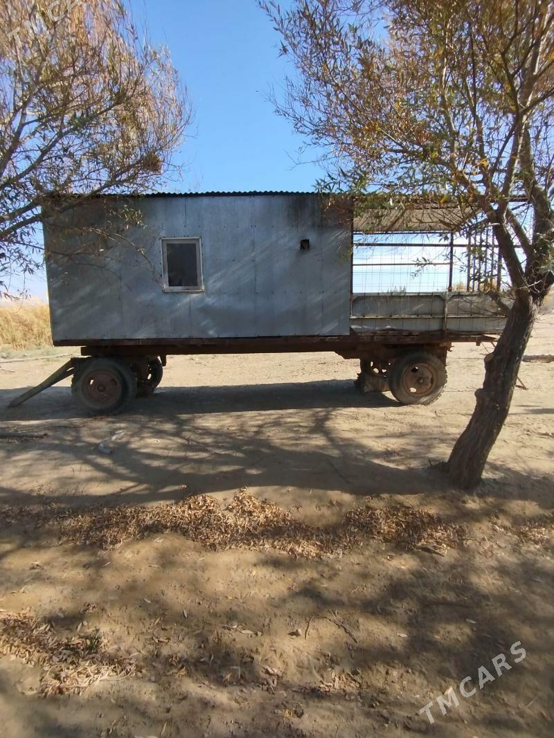 wagon - Änew - img 6