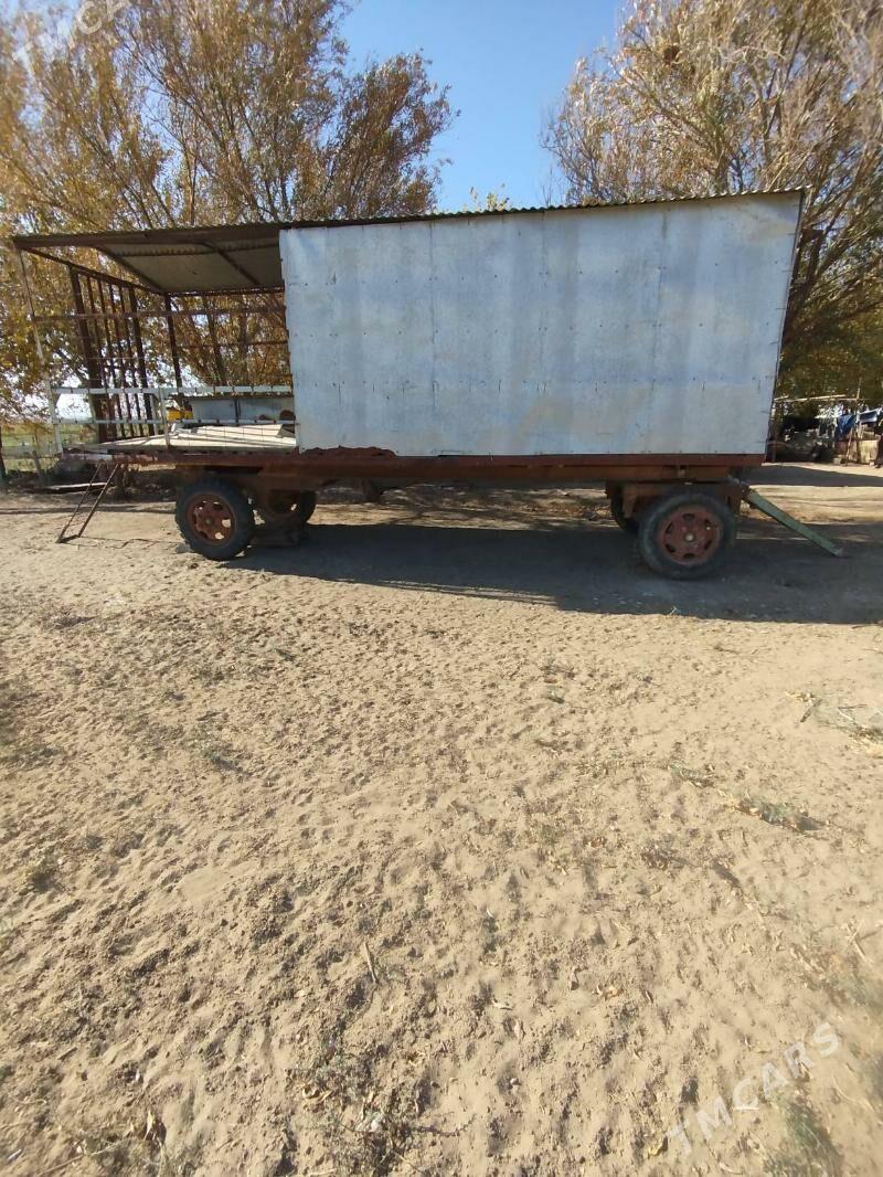 wagon - Änew - img 3