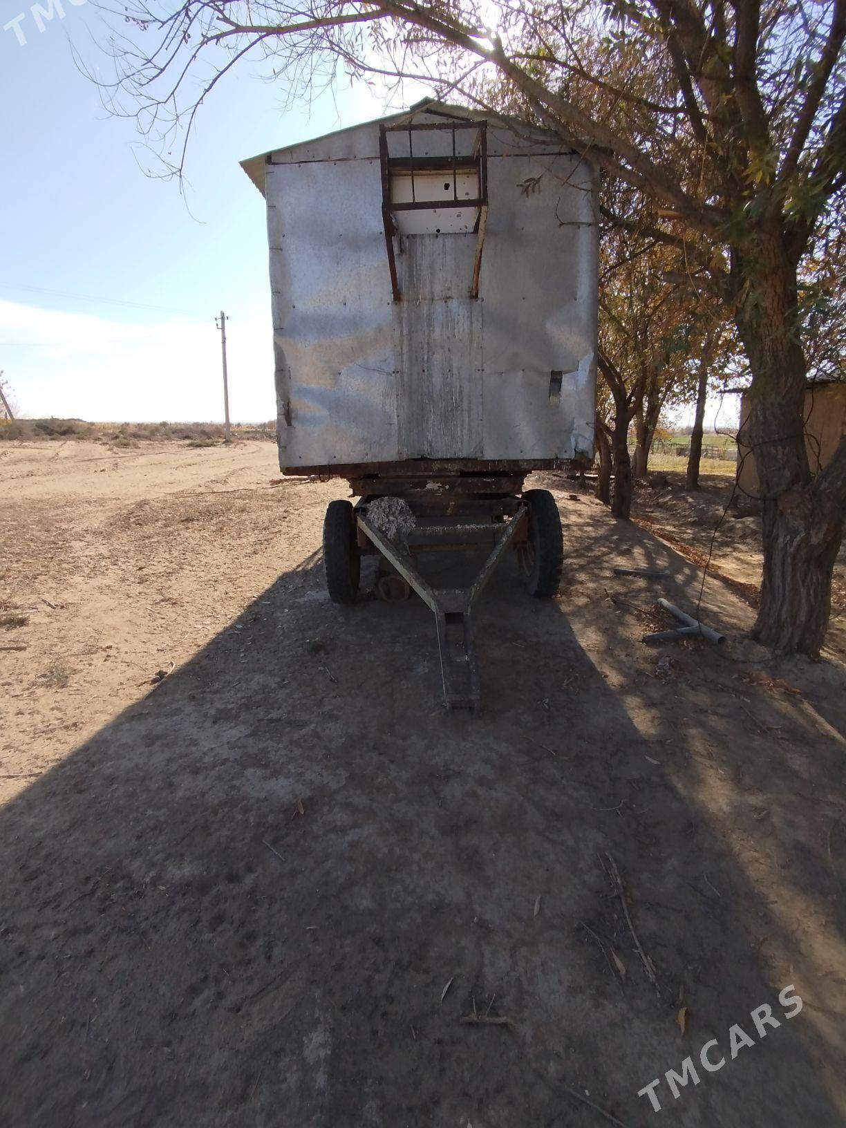 wagon - Änew - img 5