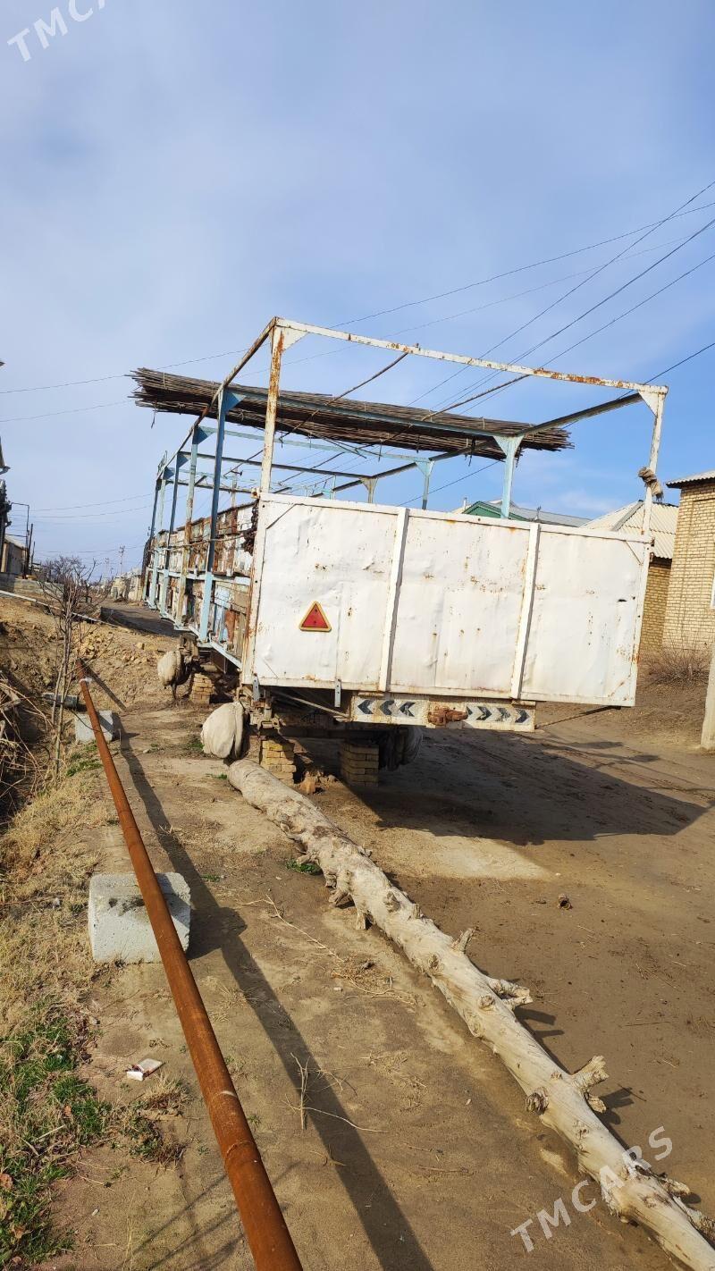 Bal Ary pirsep - Mary - img 3